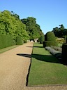 Clipped yews in the garden